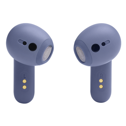 JBL Live Flex