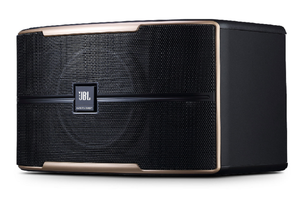 JBL Pasion 8 Passive 8” Full-Range Karaoke Loudspeaker