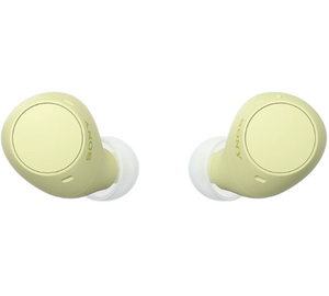 SONY WF-C510 Truly Wireless Earbuds