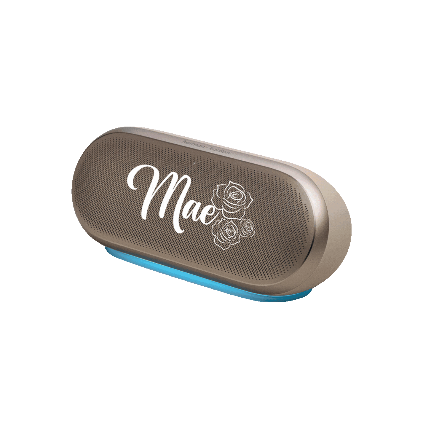 CUSTOMIZABLE SPEAKER PRODUCTS