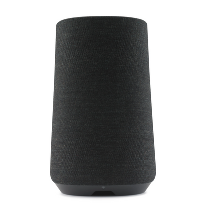 HARMAN KARDON CITATION 100 - Back